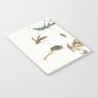 Insects frogs and a snail Notebook Gallery Image 3