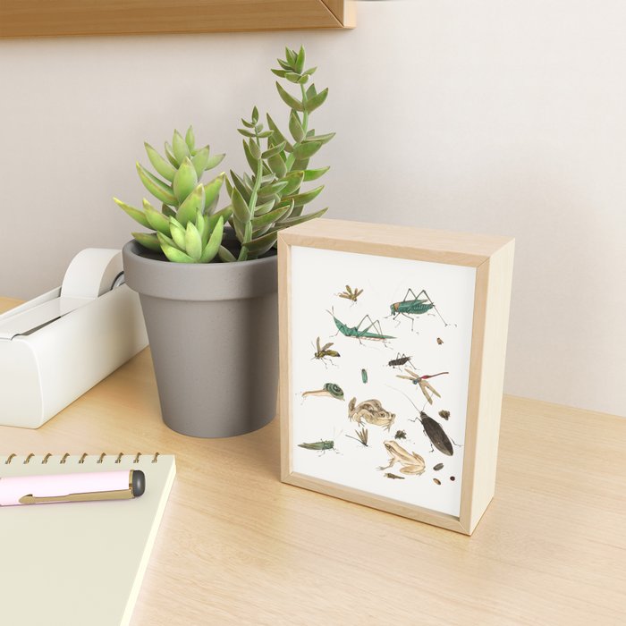 Insects frogs and a snail Mini Art Print Gallery Image 2