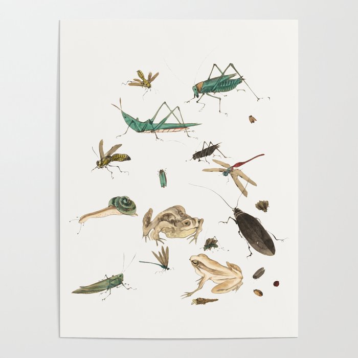 Insects frogs and a snail Poster Gallery Image 1