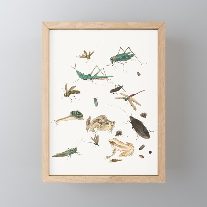 Insects frogs and a snail Mini Art Print Gallery Image 1
