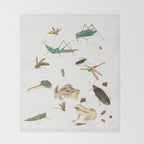 Insects frogs and a snail Throw Blanket Gallery Image 2