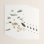 Insects frogs and a snail Wrapping Paper Gallery Image 3