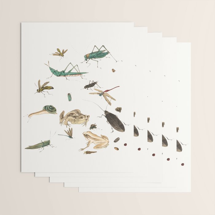 Insects frogs and a snail Wrapping Paper Gallery Image 3