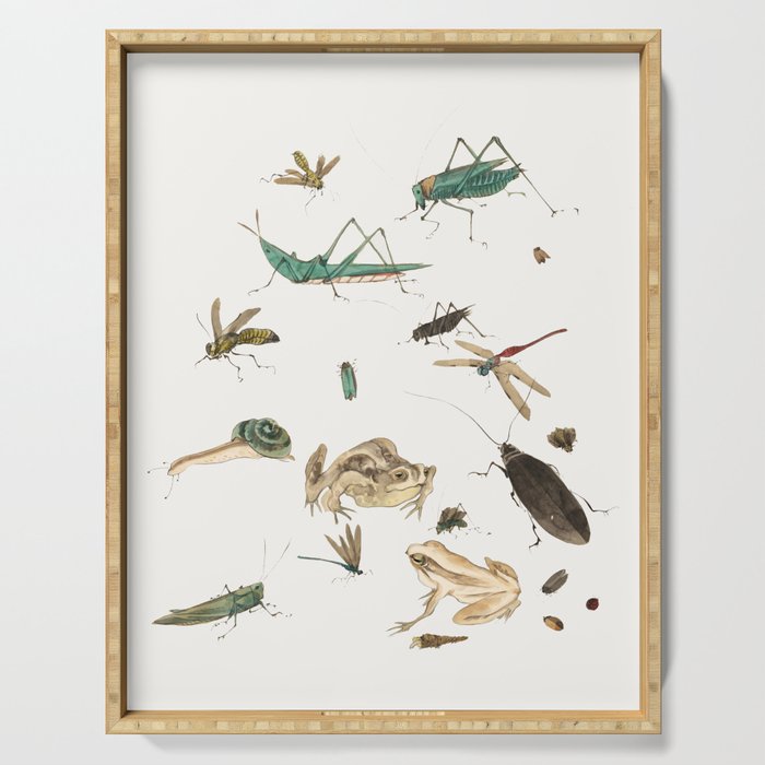 Insects frogs and a snail Serving Tray Gallery Image 1