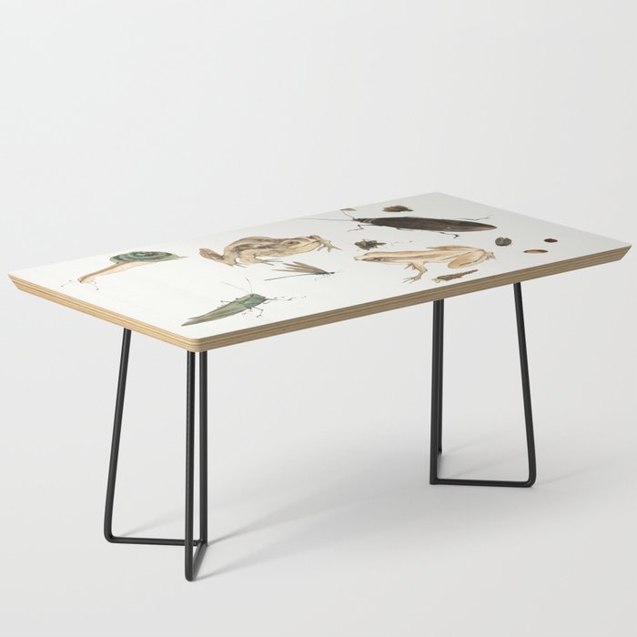 Insects frogs and a snail Coffee Table Gallery Image 1