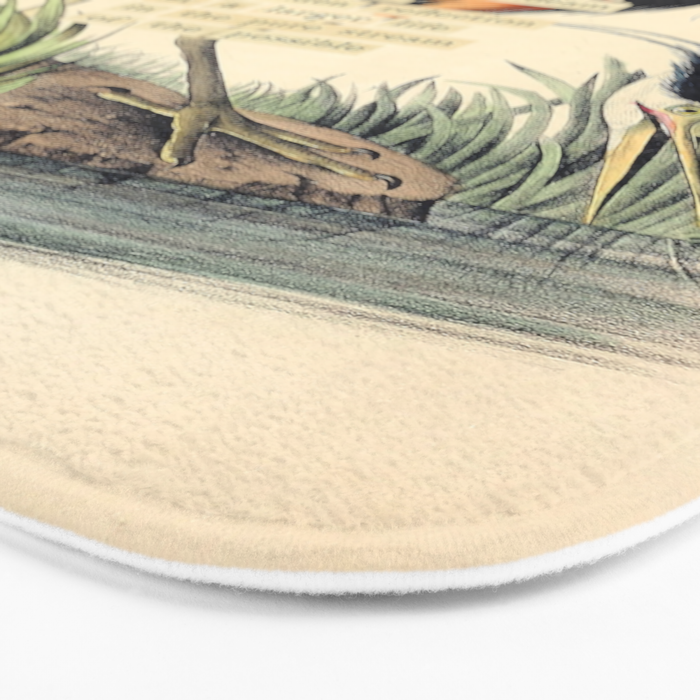 Bird Divinations: Great Blue Heron (about: almanacofbirds.org) Bath Mat Gallery Image 3