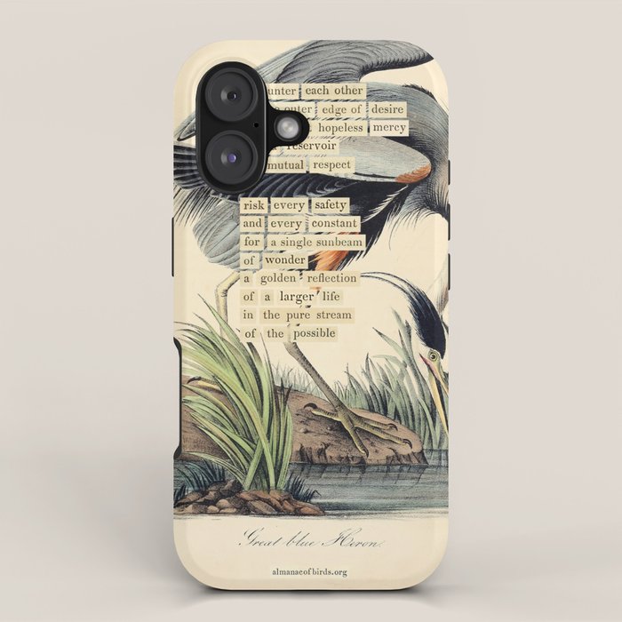 Bird Divinations: Great Blue Heron (about: almanacofbirds.org) iPhone Case Gallery Image 1