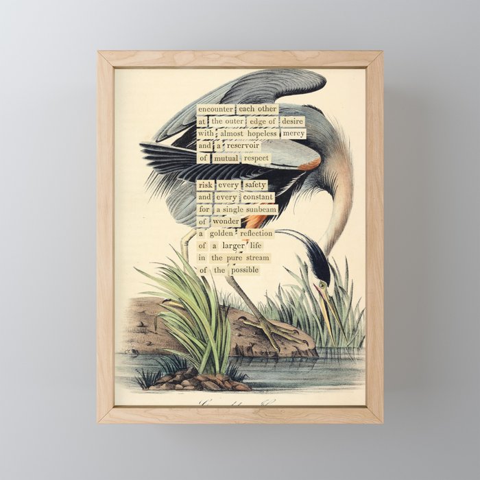 Bird Divinations: Great Blue Heron (about: almanacofbirds.org) Mini Art Print Gallery Image 1