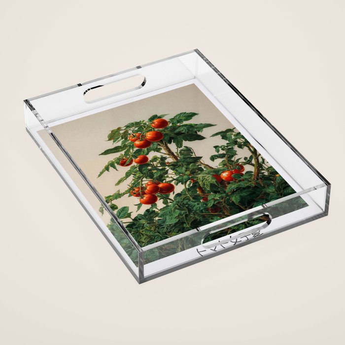 Japandi Wall Art Tomato Girl Summer Japanese Art Botanical Wall Art Sage Green Poster Maximalist Art Acrylic Tray Gallery Image 1