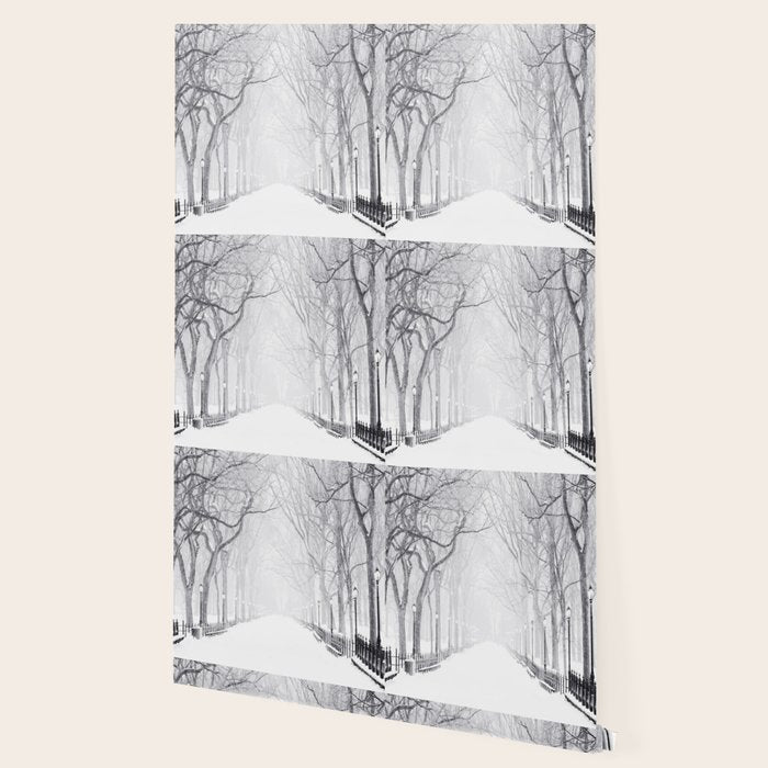 Snowy Park Wallpaper Gallery Image 2