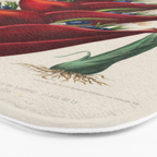 Art from "Flore dâAmÃ©rique" by Ãtienne Denisse, 1840s Bath Mat Gallery Image 3