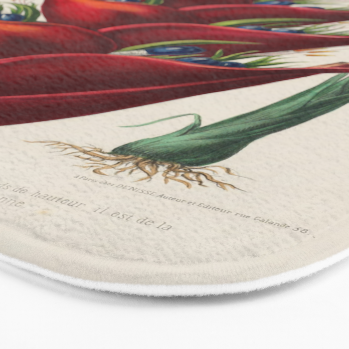 Art from "Flore dâAmÃ©rique" by Ãtienne Denisse, 1840s Bath Mat Gallery Image 3