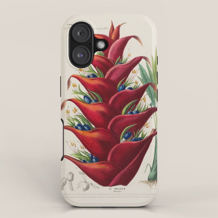 Art from "Flore dâAmÃ©rique" by Ãtienne Denisse, 1840s iPhone Case Gallery Image 1