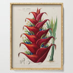 Art from "Flore dâAmÃ©rique" by Ãtienne Denisse, 1840s Serving Tray Gallery Image 1