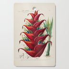 Art from "Flore dâAmÃ©rique" by Ãtienne Denisse, 1840s Cutting Board Gallery Image 1