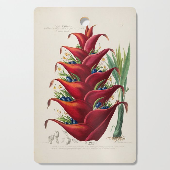 Art from "Flore dâAmÃ©rique" by Ãtienne Denisse, 1840s Cutting Board Gallery Image 1