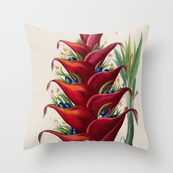 Art from "Flore dâAmÃ©rique" by Ãtienne Denisse, 1840s Throw Pillow Gallery Image 6