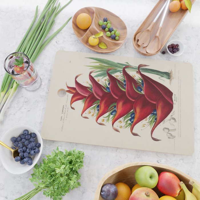 Art from "Flore dâAmÃ©rique" by Ãtienne Denisse, 1840s Cutting Board Gallery Image 2