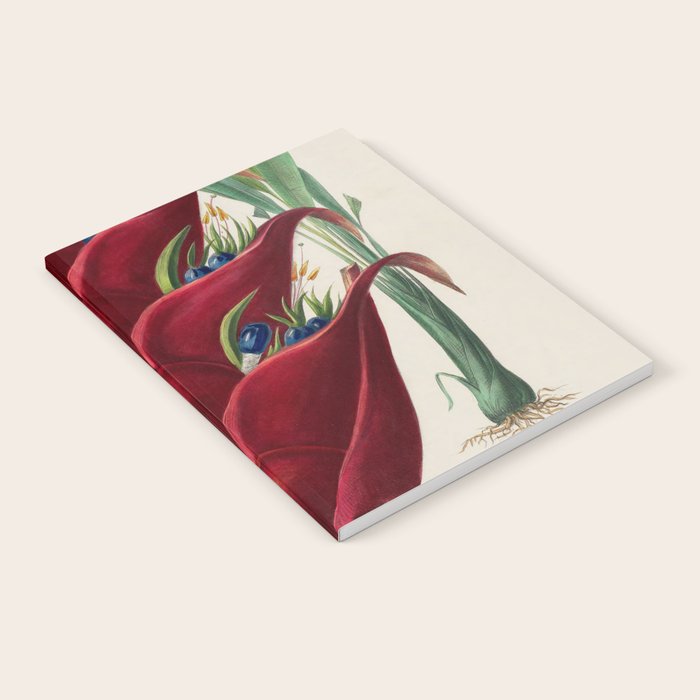 Art from "Flore dâAmÃ©rique" by Ãtienne Denisse, 1840s Notebook Gallery Image 1