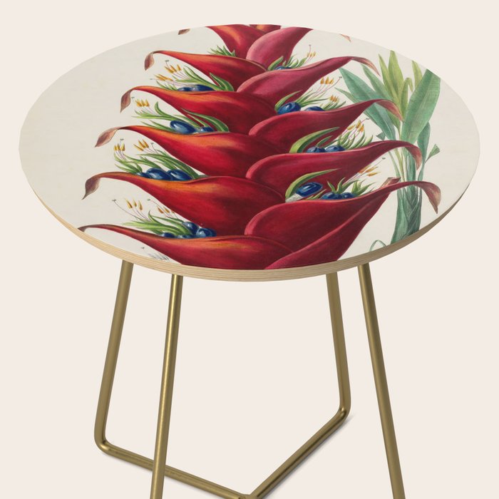 Art from "Flore dâAmÃ©rique" by Ãtienne Denisse, 1840s Side Table Gallery Image 2