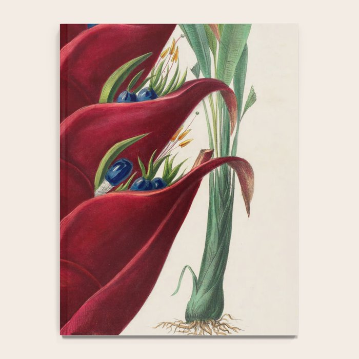 Art from "Flore dâAmÃ©rique" by Ãtienne Denisse, 1840s Notebook Gallery Image 4