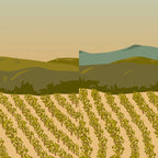 Santa Rosa, California Vineyard Coffee Mug Gallery Image 2
