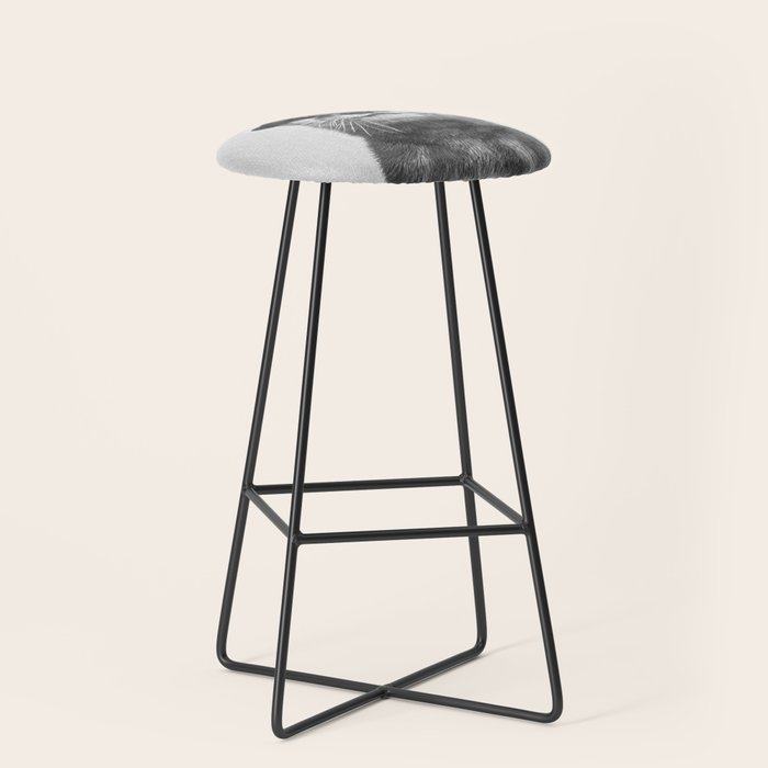 Otter - Black & White Stool Gallery Image 1