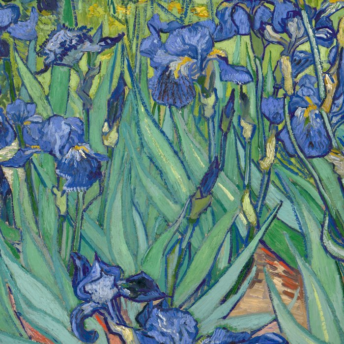 Irises, Vincent Van Gogh Coffee Mug Gallery Image 2