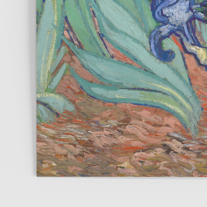 Irises, Vincent Van Gogh Poster Gallery Image 3