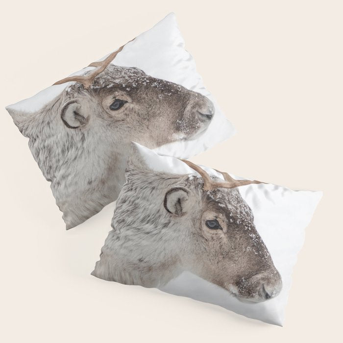 Reindeer With Antlers Art Print | Tromsø Norway Animal Snow Photo | Arctic Winter Travel Photography Pillow Sham Gallery Image 3