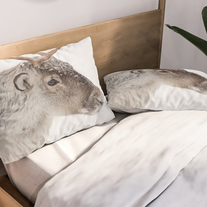 Reindeer With Antlers Art Print | Tromsø Norway Animal Snow Photo | Arctic Winter Travel Photography Pillow Sham Gallery Image 2