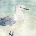 Seagull on the beach Coffee Mug Gallery Image 2