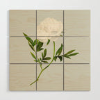 White Rose 2 Wood Wall Art Gallery Image 1