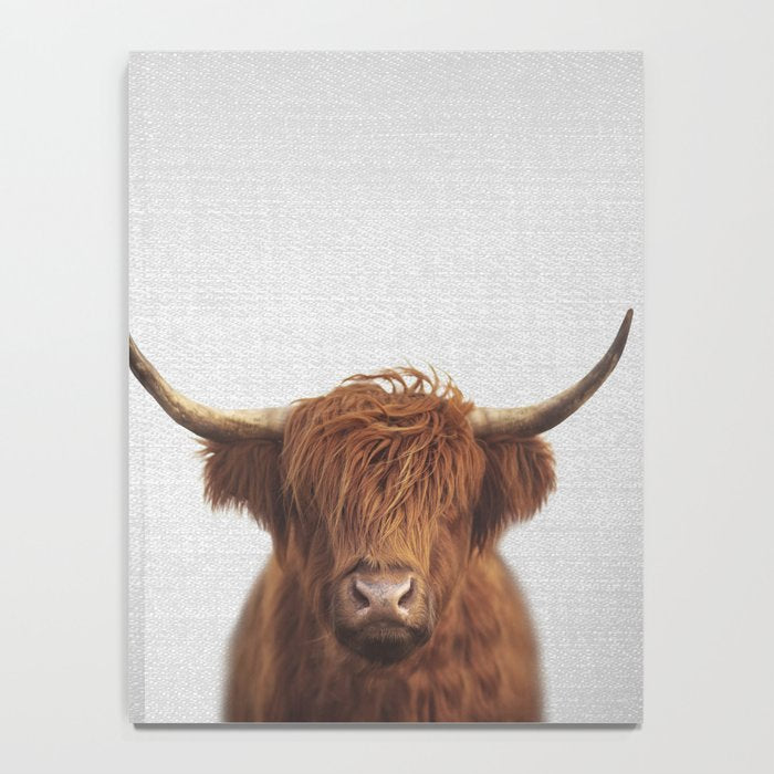 Highland Cow - Colorful Notebook Gallery Image 4