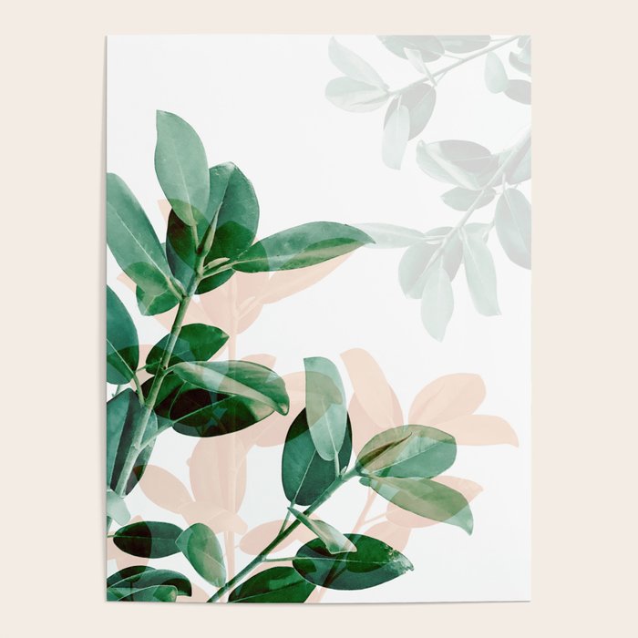 Natural obsession - Fall Poster Gallery Image 4
