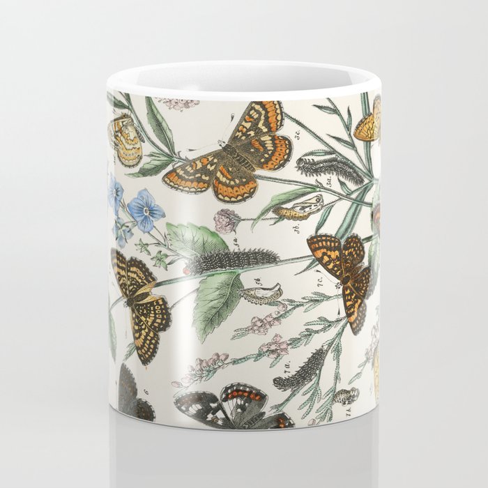Vintage Scientific Illustration Butterfly Botanical Floral Lithograph Encyclopaedia Diagrams  Coffee Mug Gallery Image 4
