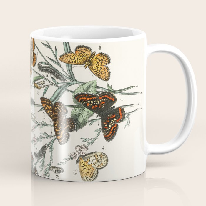 Vintage Scientific Illustration Butterfly Botanical Floral Lithograph Encyclopaedia Diagrams  Coffee Mug Gallery Image 1