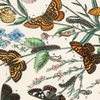 Vintage Scientific Illustration Butterfly Botanical Floral Lithograph Encyclopaedia Diagrams  Coffee Mug Gallery Image 2
