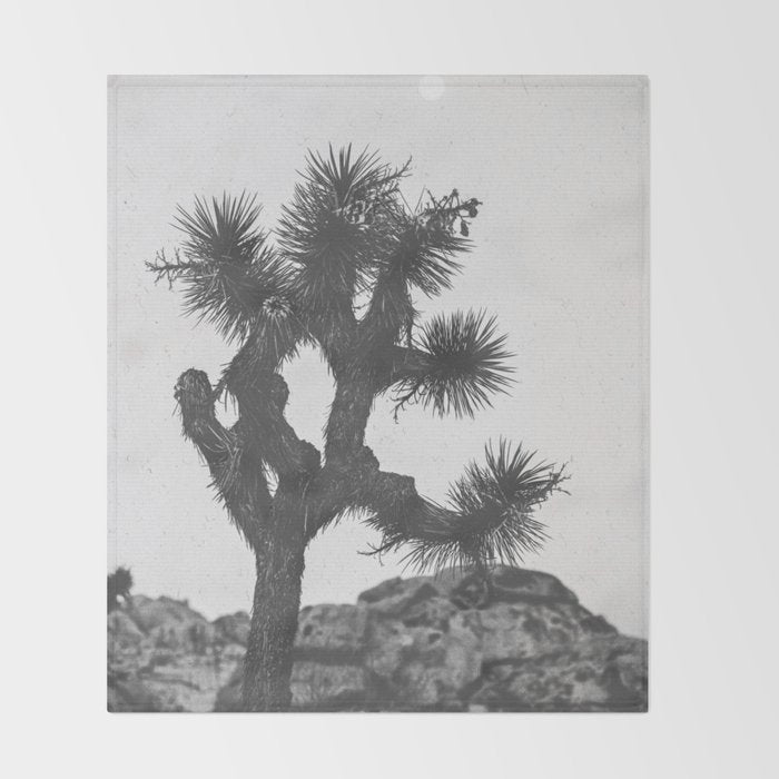 JOSHUA TREE XIII / California Desert Throw Blanket Gallery Image 2