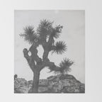 JOSHUA TREE XIII / California Desert Throw Blanket Gallery Image 2