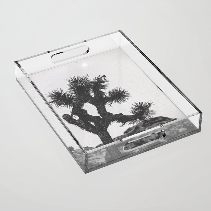 JOSHUA TREE XIII / California Desert Acrylic Tray Gallery Image 1