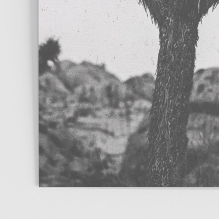 JOSHUA TREE XIII / California Desert Poster Gallery Image 3
