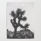 JOSHUA TREE XIII / California Desert Poster Gallery Image 4