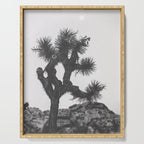 JOSHUA TREE XIII / California Desert Serving Tray Gallery Image 1