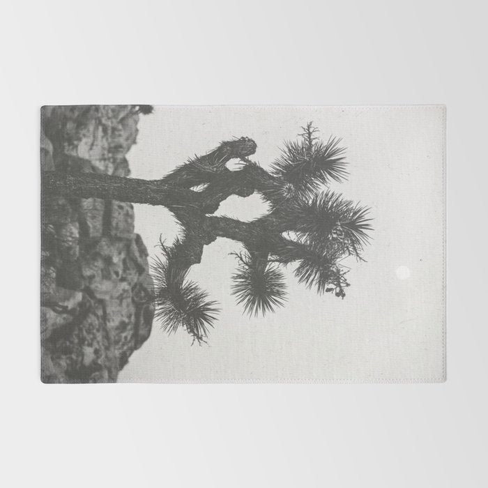 JOSHUA TREE XIII / California Desert Rug Gallery Image 2