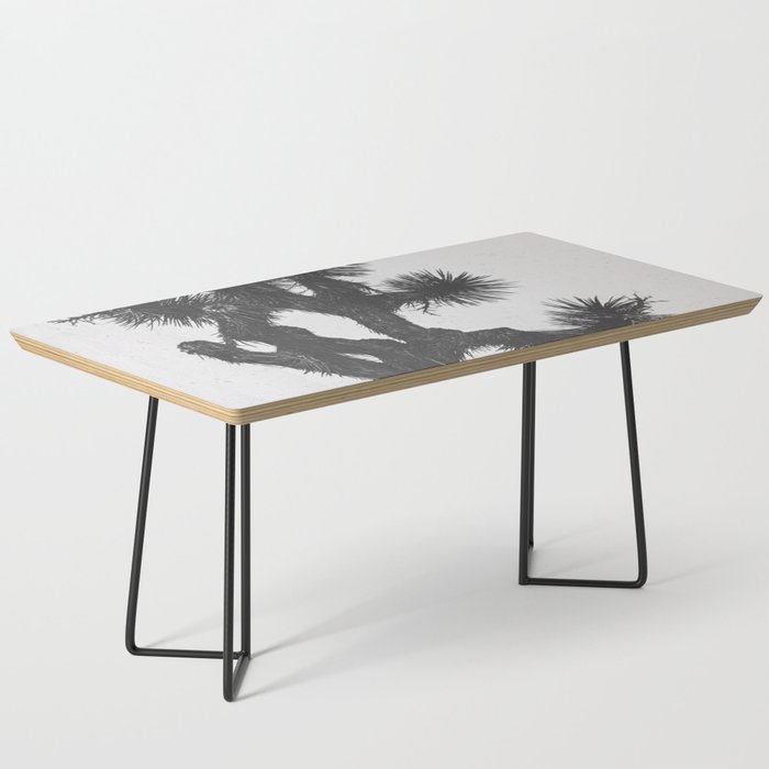 JOSHUA TREE XIII / California Desert Coffee Table Gallery Image 1