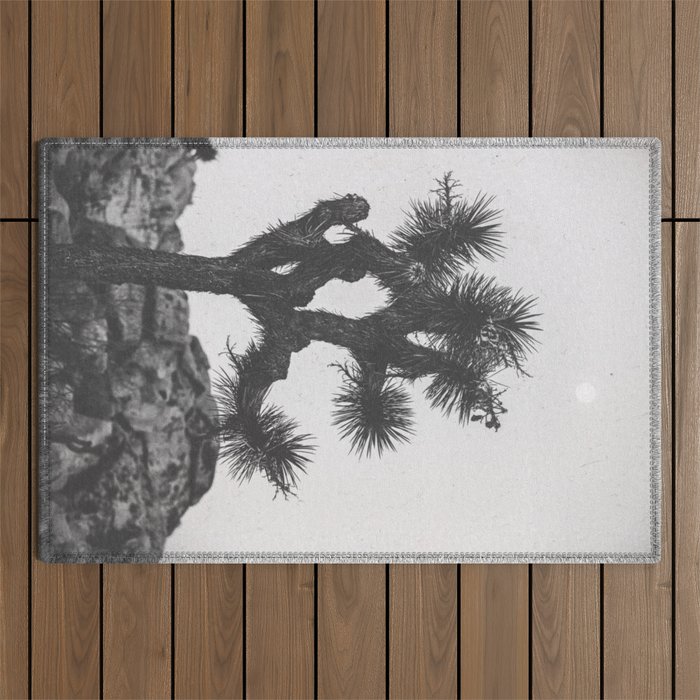 JOSHUA TREE XIII / California Desert Outdoor Rug Gallery Image 1