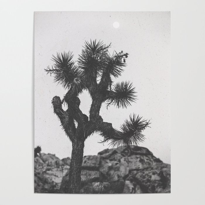 JOSHUA TREE XIII / California Desert Poster Gallery Image 1