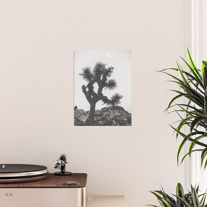 JOSHUA TREE XIII / California Desert Poster Gallery Image 2