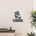 JOSHUA TREE XIII / California Desert Poster Gallery Image 2